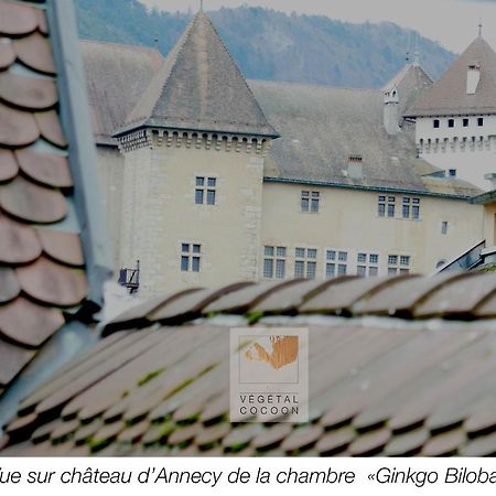 Appartamento végétal cocoon Annecy Esterno foto