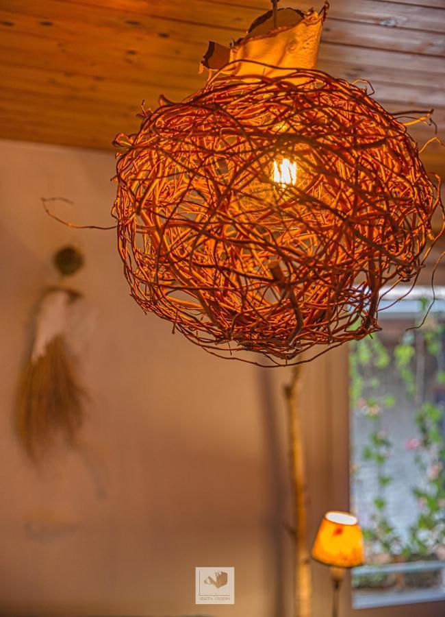 Appartamento végétal cocoon Annecy Esterno foto