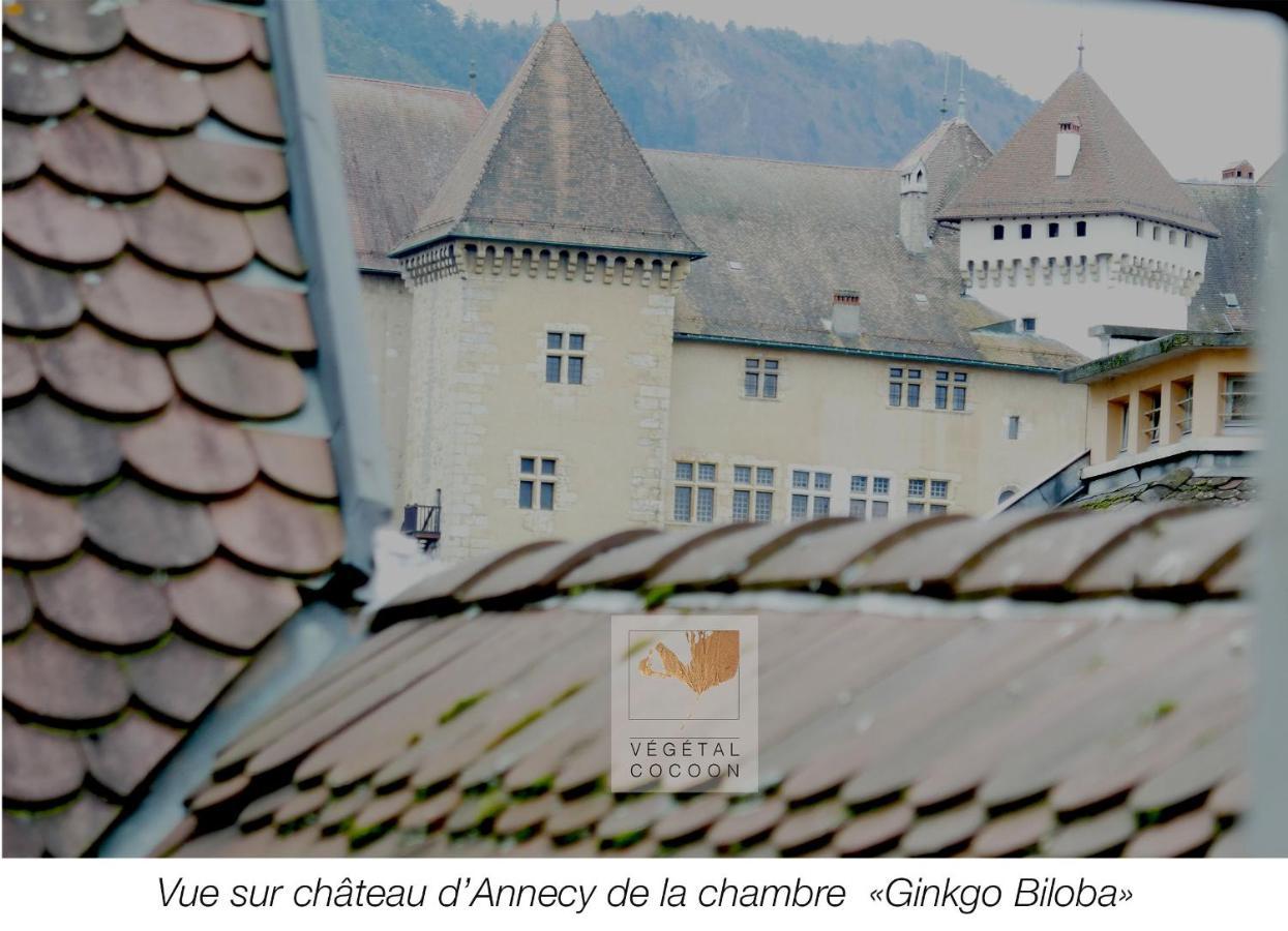 Appartamento végétal cocoon Annecy Esterno foto